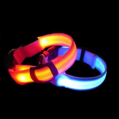 Collares luminosos para perros