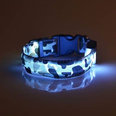 Luminous collars for dogs, camouflage