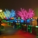 Árboles luminosos